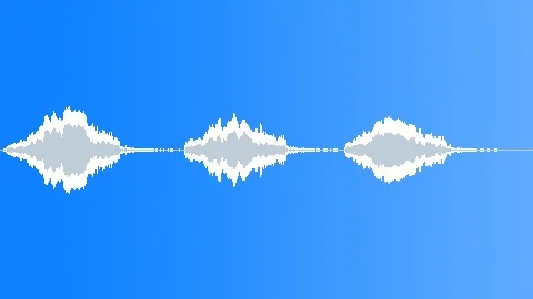Birds Various Peacock Single Vocal Calls x 3 Trumpet Raspy Medium Close Reverby Sound Effect