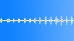 BIRDS, VARIOUS Sound Effect