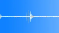 BIRDS, VARIOUS Sound Effect