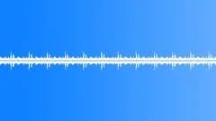 BIRDS, VARIOUS Sound Effect