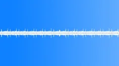 BIRDS, VARIOUS Sound Effect