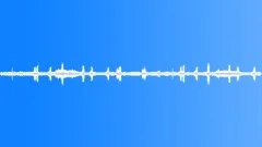 BIRDS, VARIOUSSound Effect