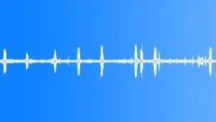 BIRDS, VARIOUS Sound Effect