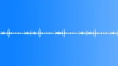 BIRDS, VARIOUS Sound Effect