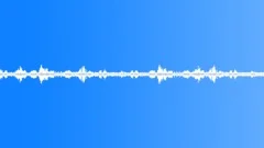 BIRDS, VARIOUS Sound Effect