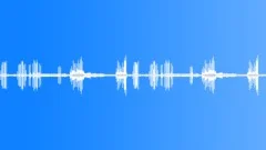 BIRDS, VARIOUSSound Effect