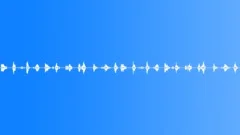 Birds Various Vintage Single Singing Other Bird Answers Nice Reverby Chirps Cal Sound Effect