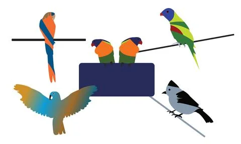 Birds Vector Collection Stock Illustration