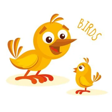 Birds vector illustration Stock Illustration