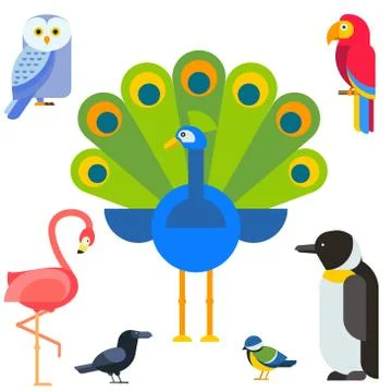 Birds vector set illustration isolated Stock Illustration
