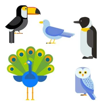Birds vector set illustration isolated Stock Illustration