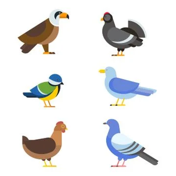 Birds vector set illustration isolated Stock Illustration