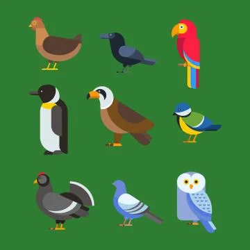 Birds vector set illustration isolated Stockillustratie