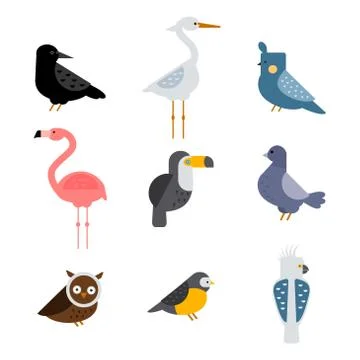 Birds vector set illustration isolated 스톡 일러스트