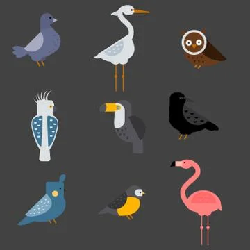 Birds vector set illustration isolated Stock Illustration