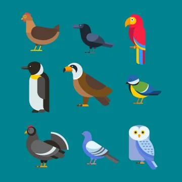 Birds vector set illustration isolated Stock Illustration