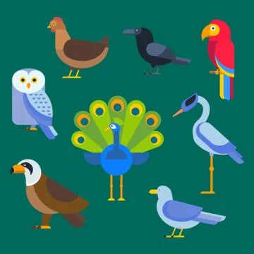 Birds vector set illustration isolated 스톡 일러스트