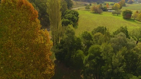 Birds view Stock Footage 75558895