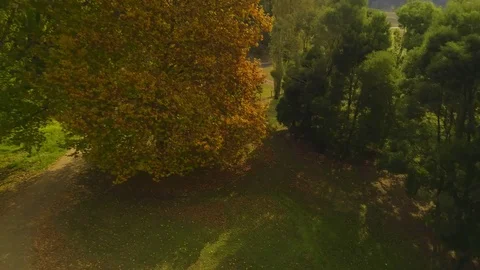 Birds view Stock Footage 75559181