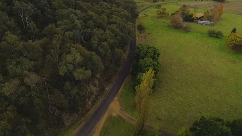 Birds view Stock Footage 76011661