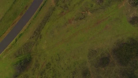 Birds view Stock Footage 76012215