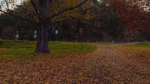 Birds view Stock Footage 76033743