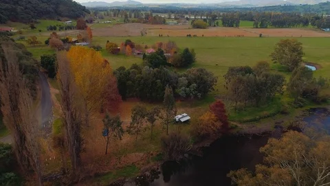 Birds view Stock Footage 76033849