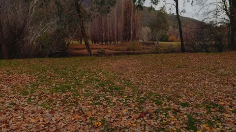 Birds view Stock Footage 76035406