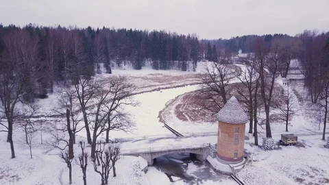 Bird's view on the glade in the forest and river with bridge and tower Stock Footage 101221349
