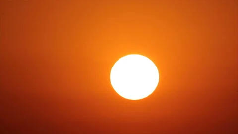 Birds in the warm evening sky Stock Footage 171105380