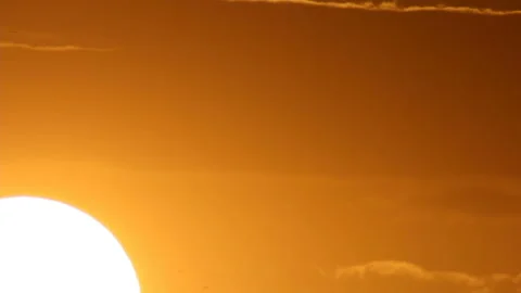 Birds in warmth flows of air Stock Footage 111770372