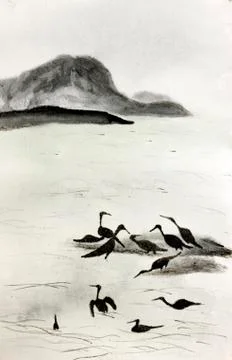 Birds on the water Stock Illustration