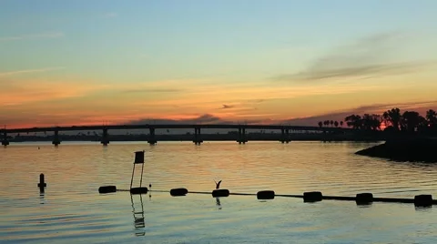 Birds on a water pipe while sun sets in the bay 스톡 동영상 50521181