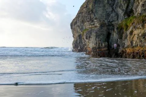 Birds waves and cliffs Stock Photos
