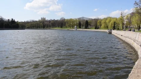 Birds on the waves of the river Stock Footage 88874222