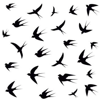Birds on a white background Stock Illustration