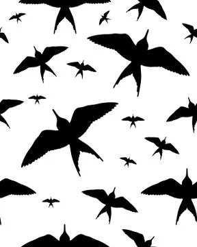 Birds on white Stock Illustration