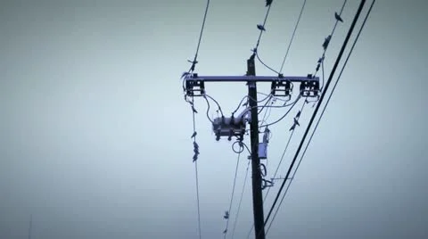 Birds wire 5 Stock Footage 21244723