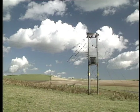 BIRDS ON WIRE Stock-Footage 5646111