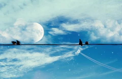 Birds on the Wire Foto stock