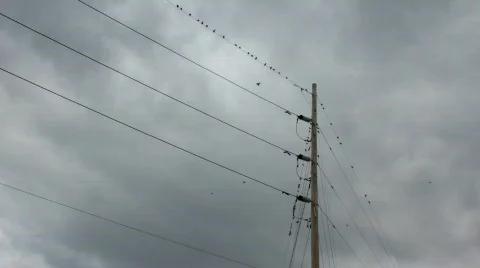 Birds on a wire with storm clouds in back 스톡 동영상 872364