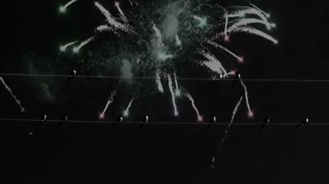 Birds on a wire6 Stock Footage 938649