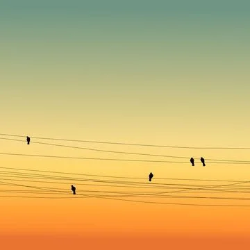 Birds on wires sunset Stock Illustration