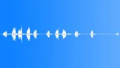 Birds in the Woods Sound Effect