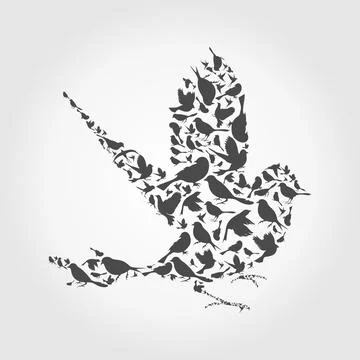 Birds6 Stock Photos