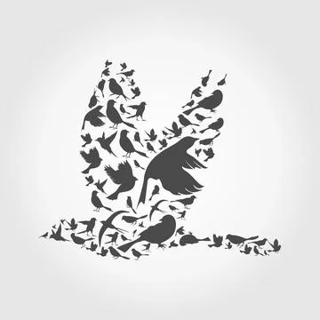 Birds8 Stock Photos