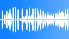 BIRDS,AMBIENCE Sound Effect