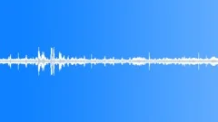 BirdsDogsCrowsLOOP Sound Effect