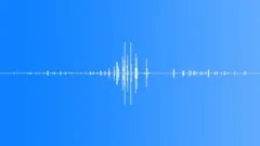 BIRD,SEA,GULL Sound Effect