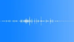 BIRD,SEA,GULL Sound Effect